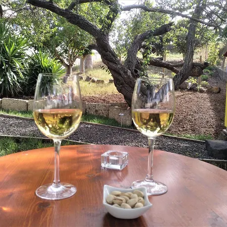 Casa Nogal Semesterbostad La Matanza De Acentejo