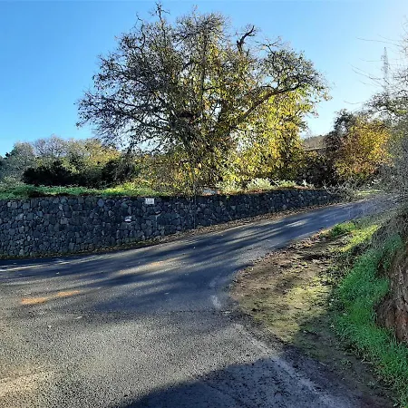 Semesterbostad Casa Nogal La Matanza De Acentejo